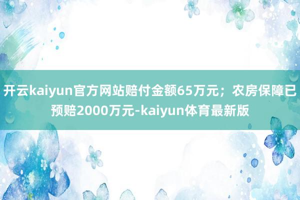 开云kaiyun官方网站赔付金额65万元；农房保障已预赔2000万元-kaiyun体育最新版