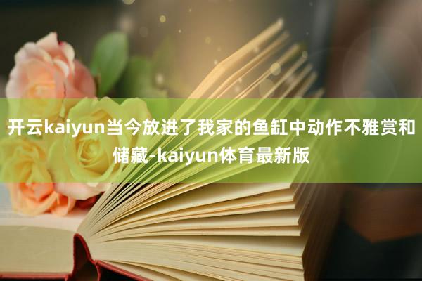 开云kaiyun当今放进了我家的鱼缸中动作不雅赏和储藏-kaiyun体育最新版