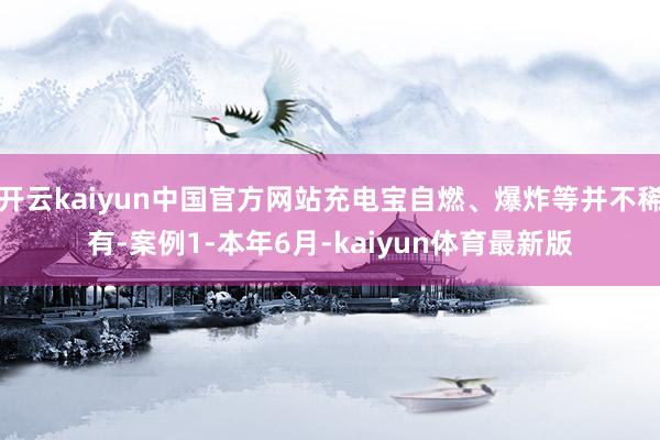 开云kaiyun中国官方网站充电宝自燃、爆炸等并不稀有-案例1-本年6月-kaiyun体育最新版