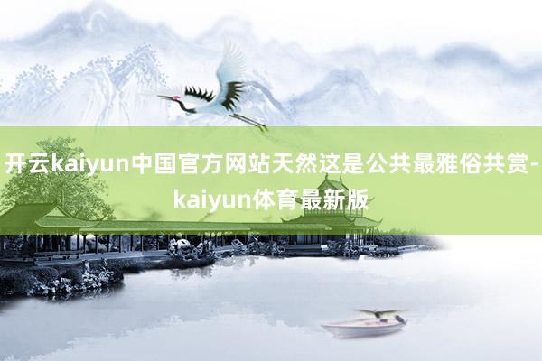 开云kaiyun中国官方网站天然这是公共最雅俗共赏-kaiyun体育最新版