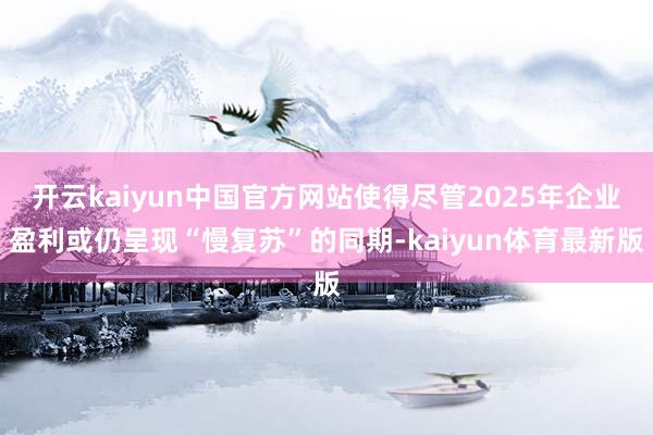 开云kaiyun中国官方网站使得尽管2025年企业盈利或仍呈现“慢复苏”的同期-kaiyun体育最新版