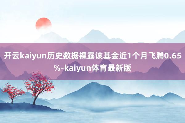 开云kaiyun历史数据裸露该基金近1个月飞腾0.65%-kaiyun体育最新版